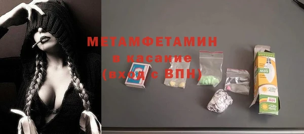 прущие грибы Горняк