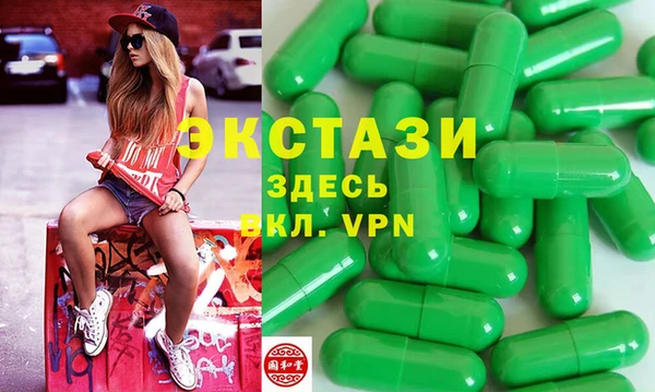 гидра Вяземский