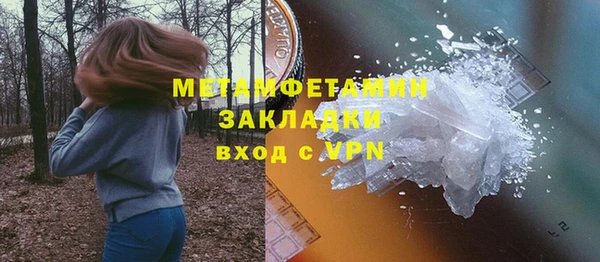 гидра Вяземский