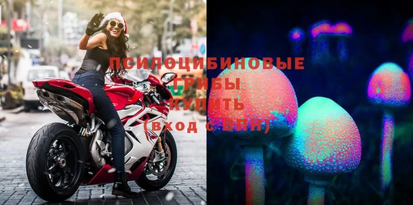 спиды Вязьма