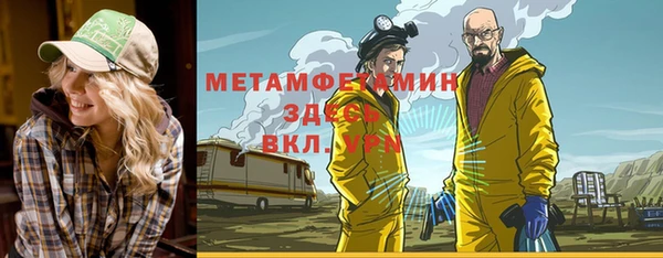 гидра Вяземский