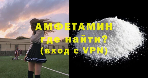 гидра Вяземский