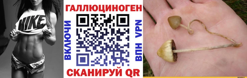 Галлюциногенные грибы Cubensis  наркота  OMG вход  Дальнереченск 
