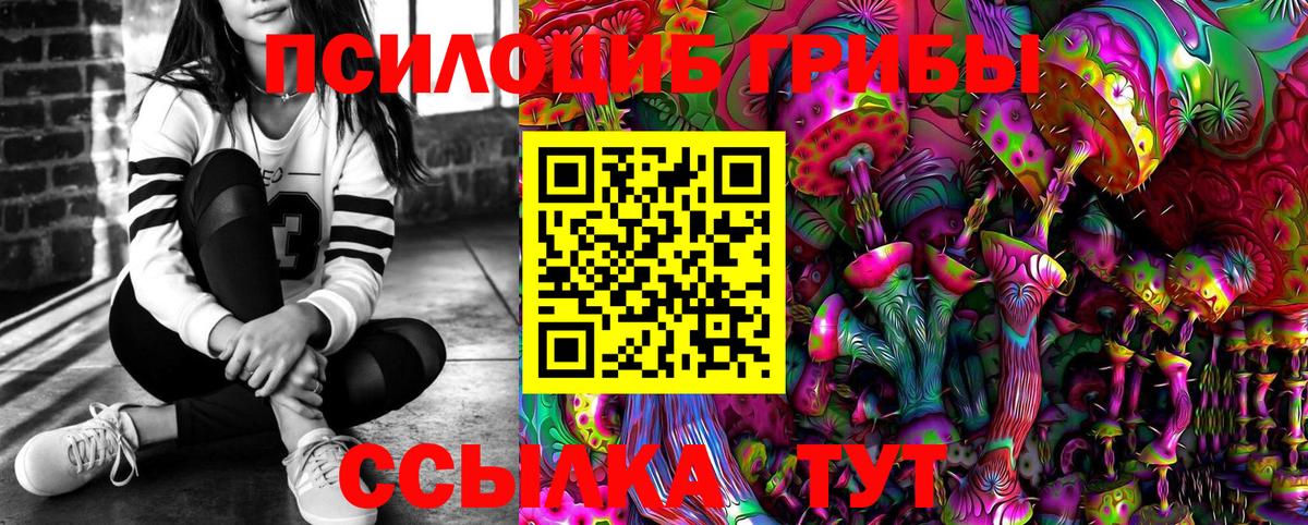 Дальнереченск  Псилоцибиновые грибы Psilocybe  Вход с VPN 