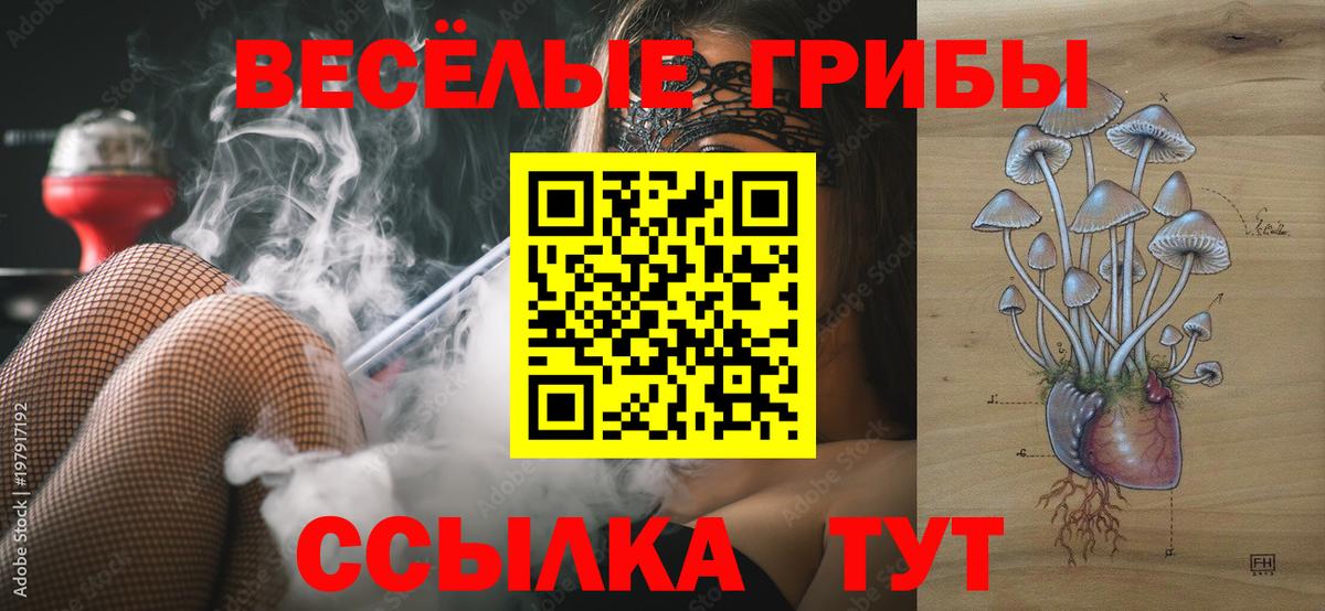 Галлюциногенные грибы GOLDEN TEACHER  Дальнереченск 